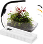 Fish Tank Light   Clip On Aquarium Light   Aquarium Light for Plants