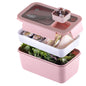 Tarlini | Pink Bento box   Premium Bento Lunch Box with Compartments