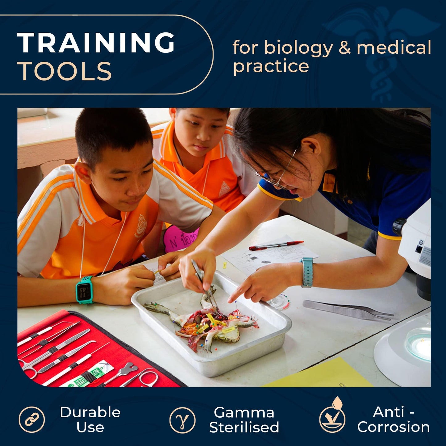 Advanced Dissection Kit Biology Lab Anatomy Dissecting Set with