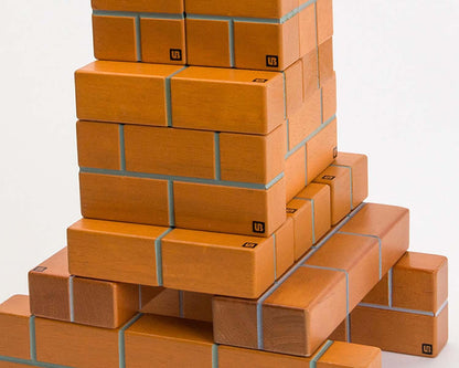 UNIT BRICKS 24 pcs Pratt Scale Standard Unit Bricks Wooden Building