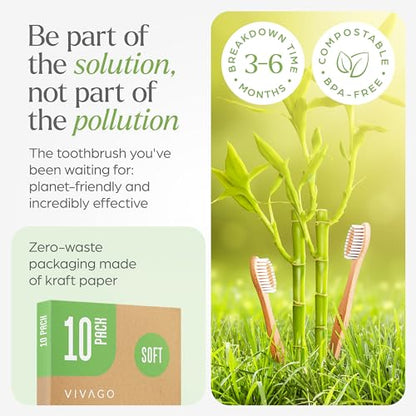 Biodegradable Bamboo Toothbrushes