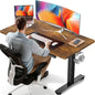 47.2 Inch Electric Standing Desk, Height Adjustable Sit Stand Up,