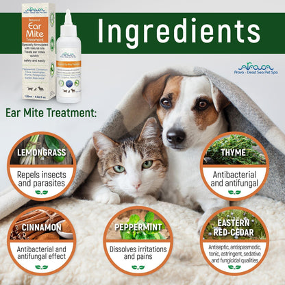 Arava Natural Ear Mite Treatment   for Dogs & Cats   Pet Ear Mites