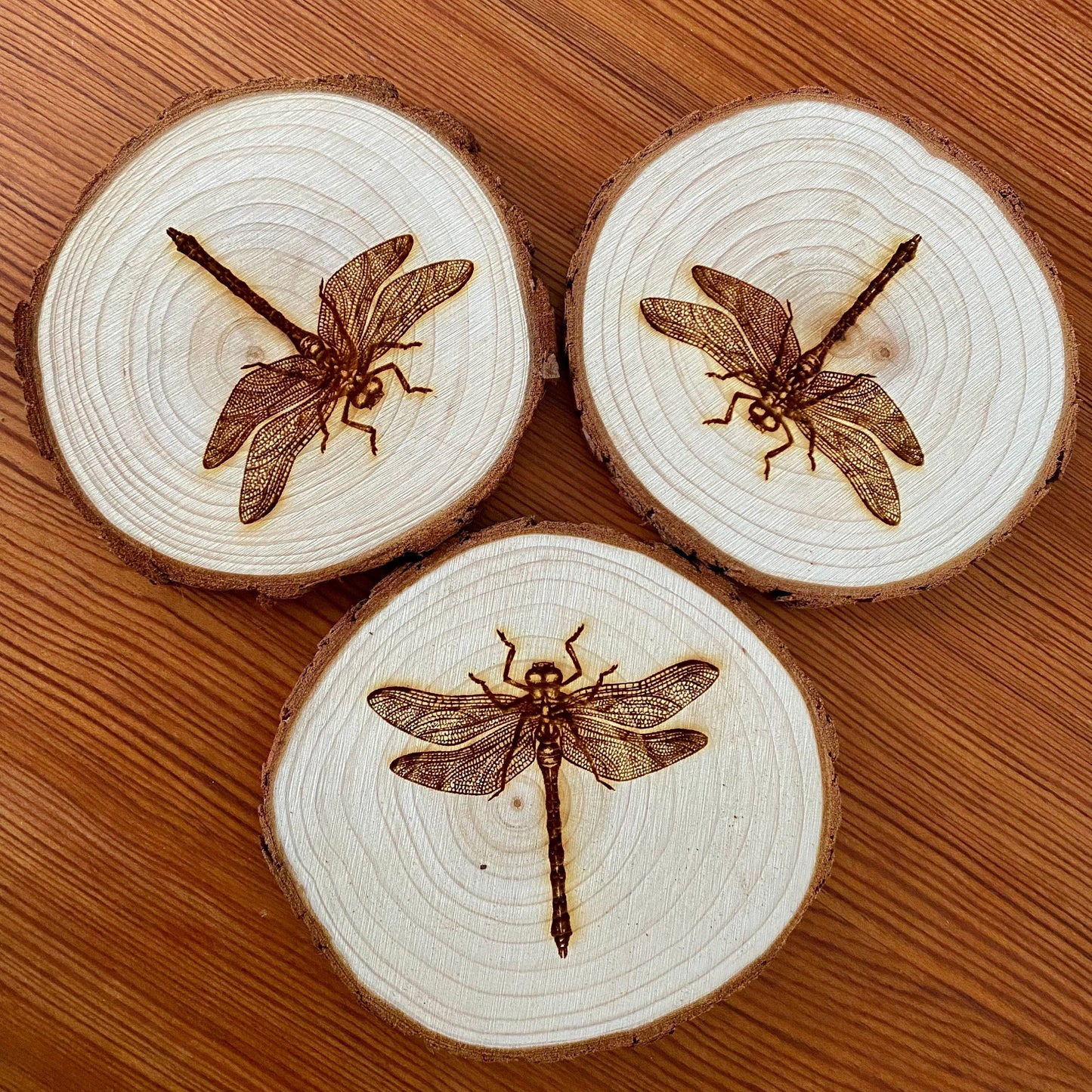 Dragonfly Engraved Wood Coaster Set