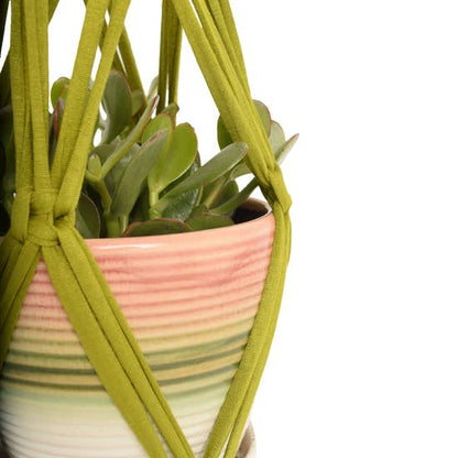 DIY Eco Macramé Plant Hanger Kit