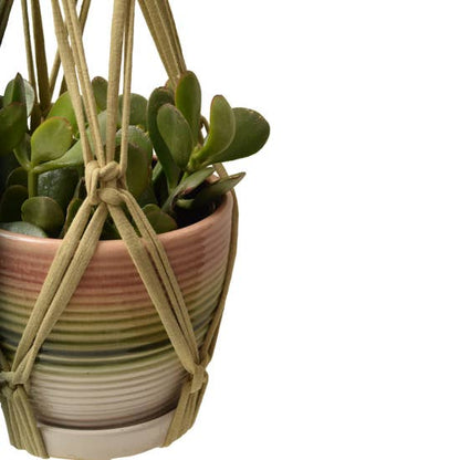 DIY Eco Macramé Plant Hanger Kit