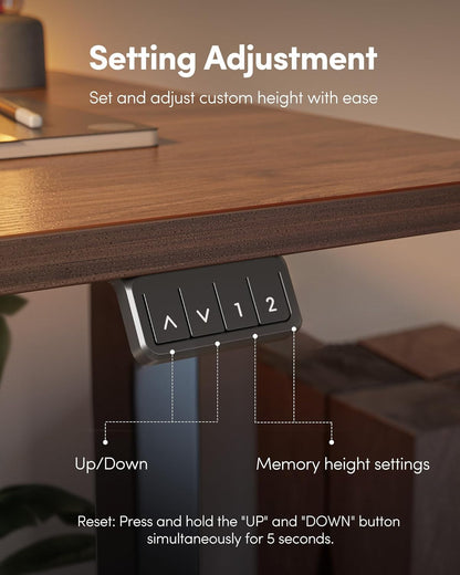 Electric Standing Desk, Height Adjustable Stand up Desk, 55 X 24