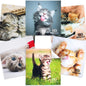 Microfiber Cleaning Cloth for Glasses   Eyeglass Cleaning Cloth   Lens