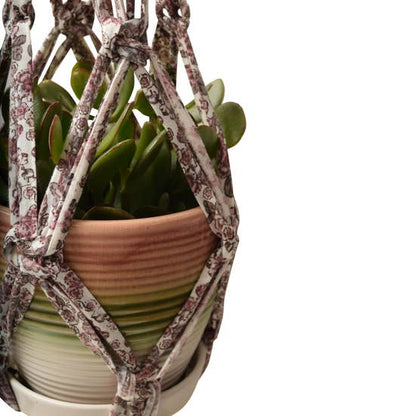 DIY Eco Macramé Plant Hanger Kit