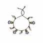 PELLEW SHELL ANKLET