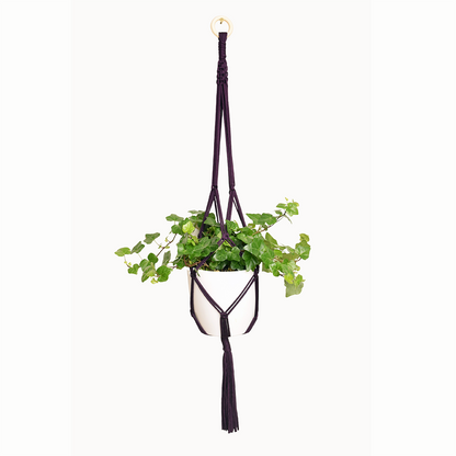 DIY Eco Macramé Plant Hanger Kit