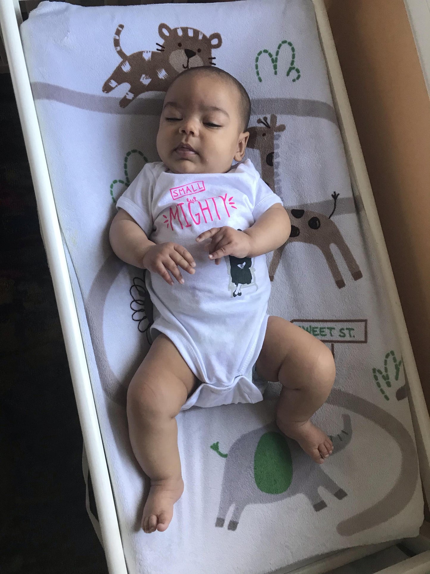 RBG Small but Mighty Toddler T-Shirt