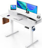 48″ X 24″ Electric Standing Desk with 2 Drawers, C-Clamp Mount