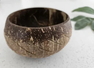 QToys Australia (USA) Fish Bone Pattern Coconut Bowl