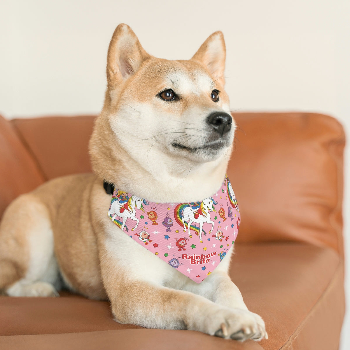 FAST SELLER Pet Bandana Collar - RB