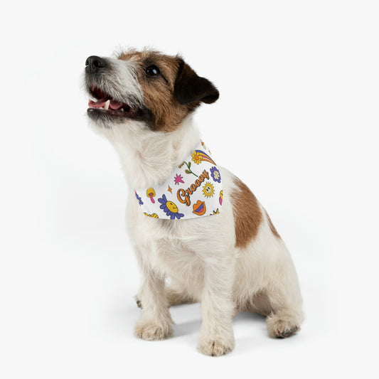 Pet Bandana Collar - Groovy