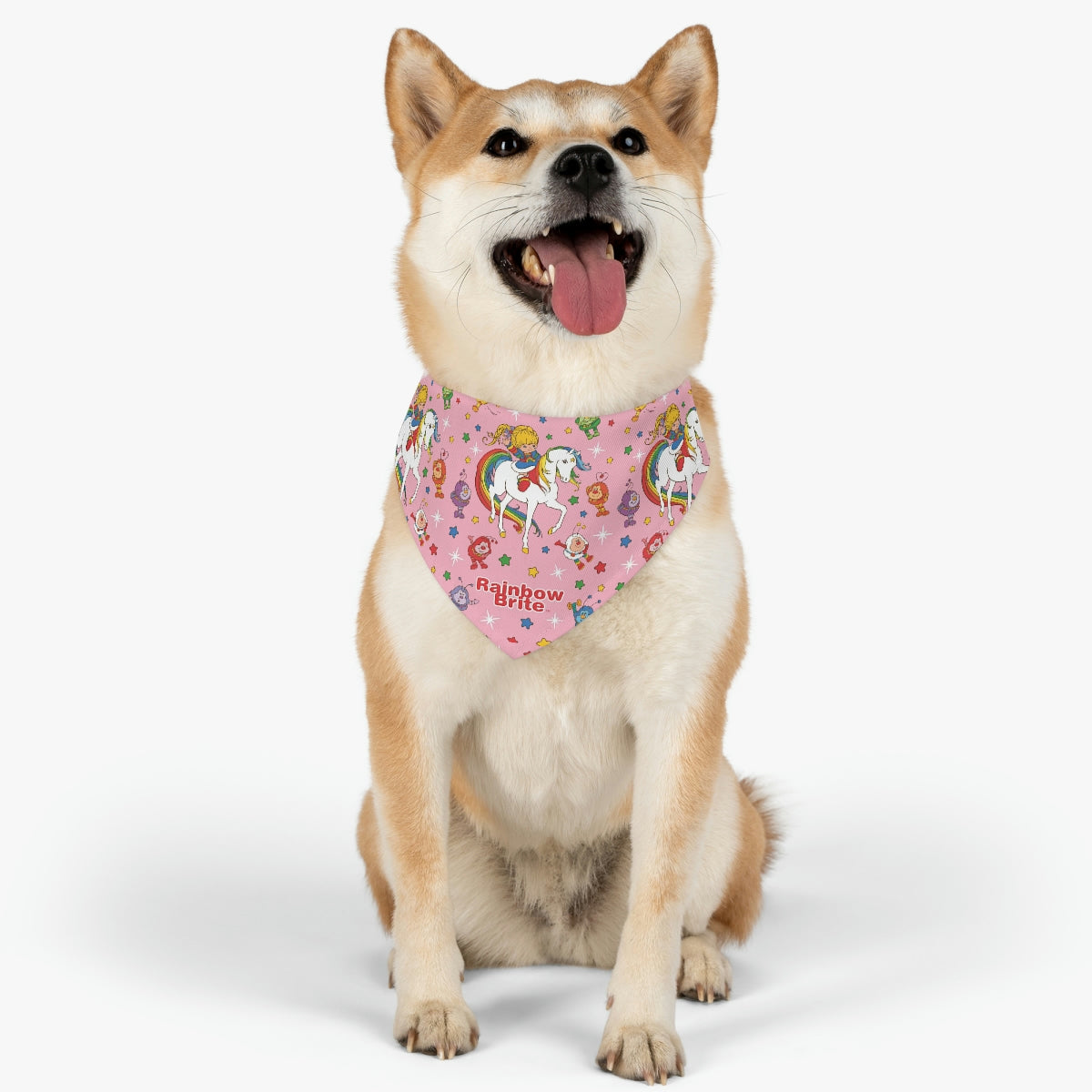FAST SELLER Pet Bandana Collar - RB