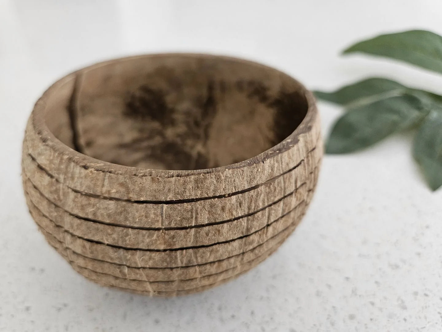 QToys Australia (USA) Horizon Pattern Coconut Bowl