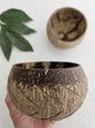 QToys Australia (USA) Fish Bone Pattern Coconut Bowl