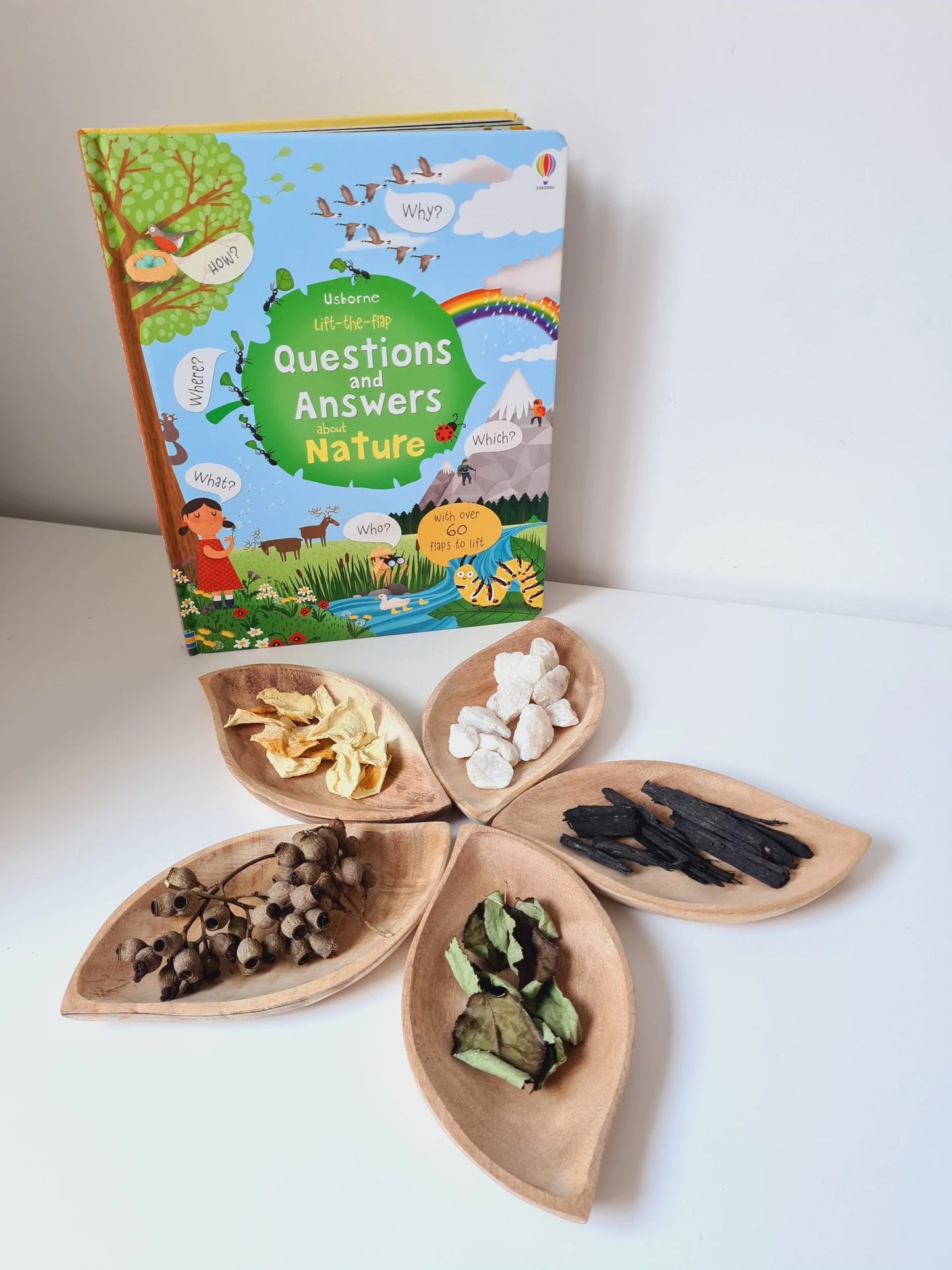 QToys Australia (USA) Leaf Tray Set