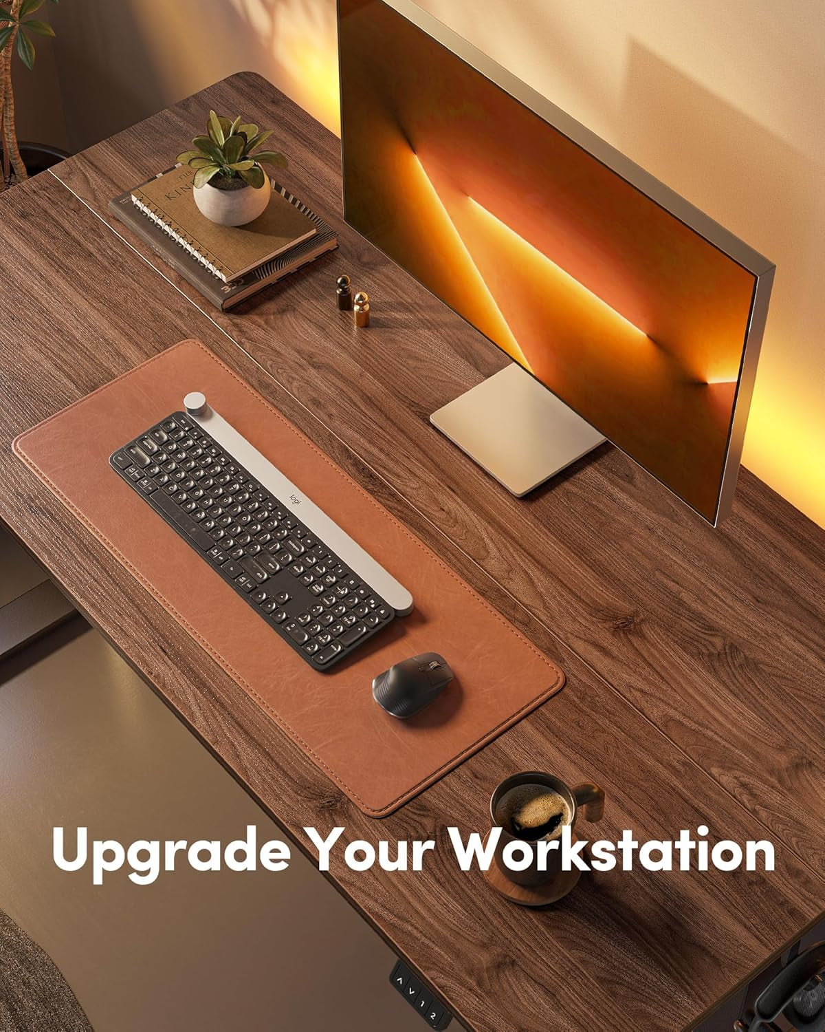 Electric Standing Desk, Height Adjustable Stand up Desk, 55 X 24