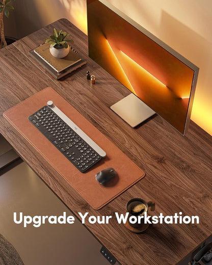 Electric Standing Desk, Height Adjustable Stand up Desk, 55 X 24