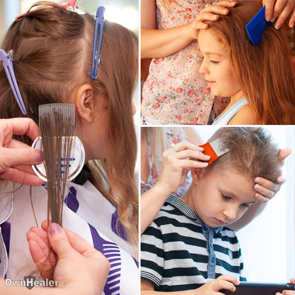 Lice Comb [Pack of 3]   Fast Removal of Lice Eggs Nits and Dandruff.